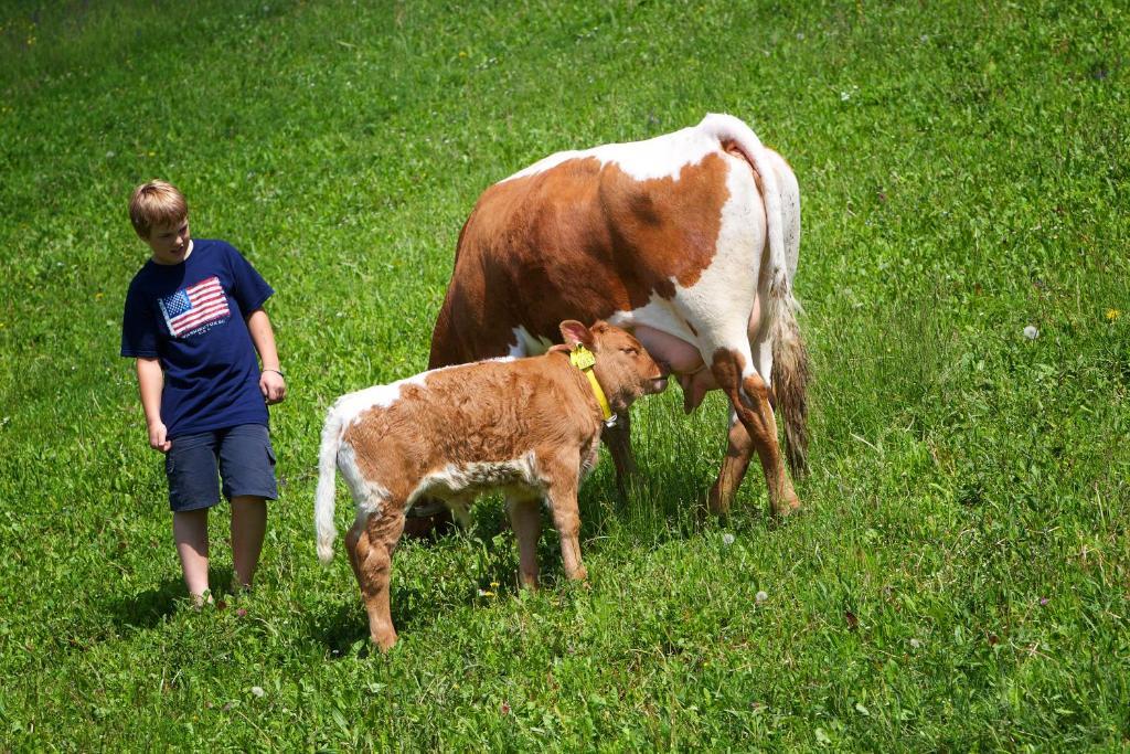 Farm Stay Pirc Lasko Luaran gambar