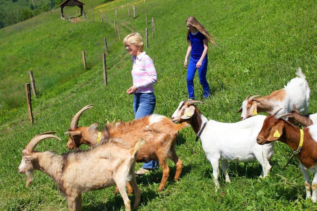 Farm Stay Pirc Lasko Luaran gambar
